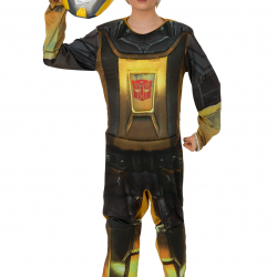 Bumble Bee (Transformer)