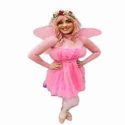 Pink Fairy