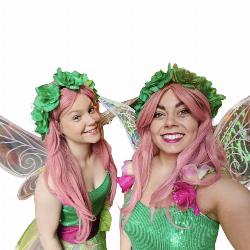 Woodland Fairies